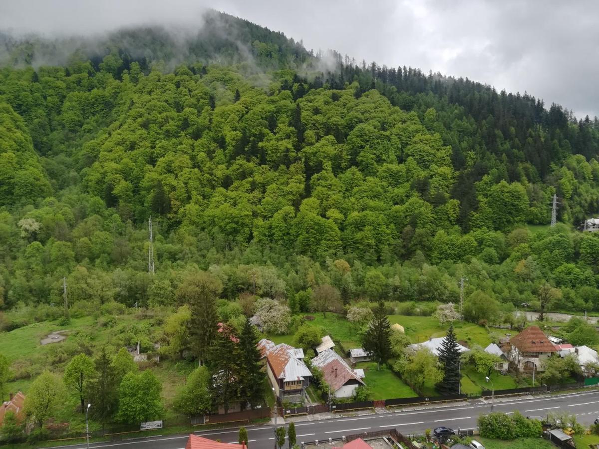 Sinaia Q Marie Apartment Exteriör bild