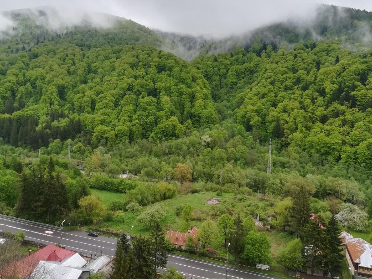 Sinaia Q Marie Apartment Exteriör bild